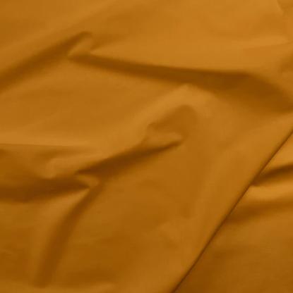 Painter's Palette - Cumin