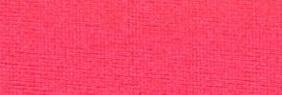 80PA/20EL Nylon Spandex Shiny 4 Way Stretch - Coral