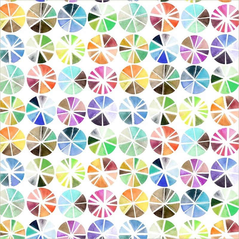 Painted Path - Color Wheels White/Multi