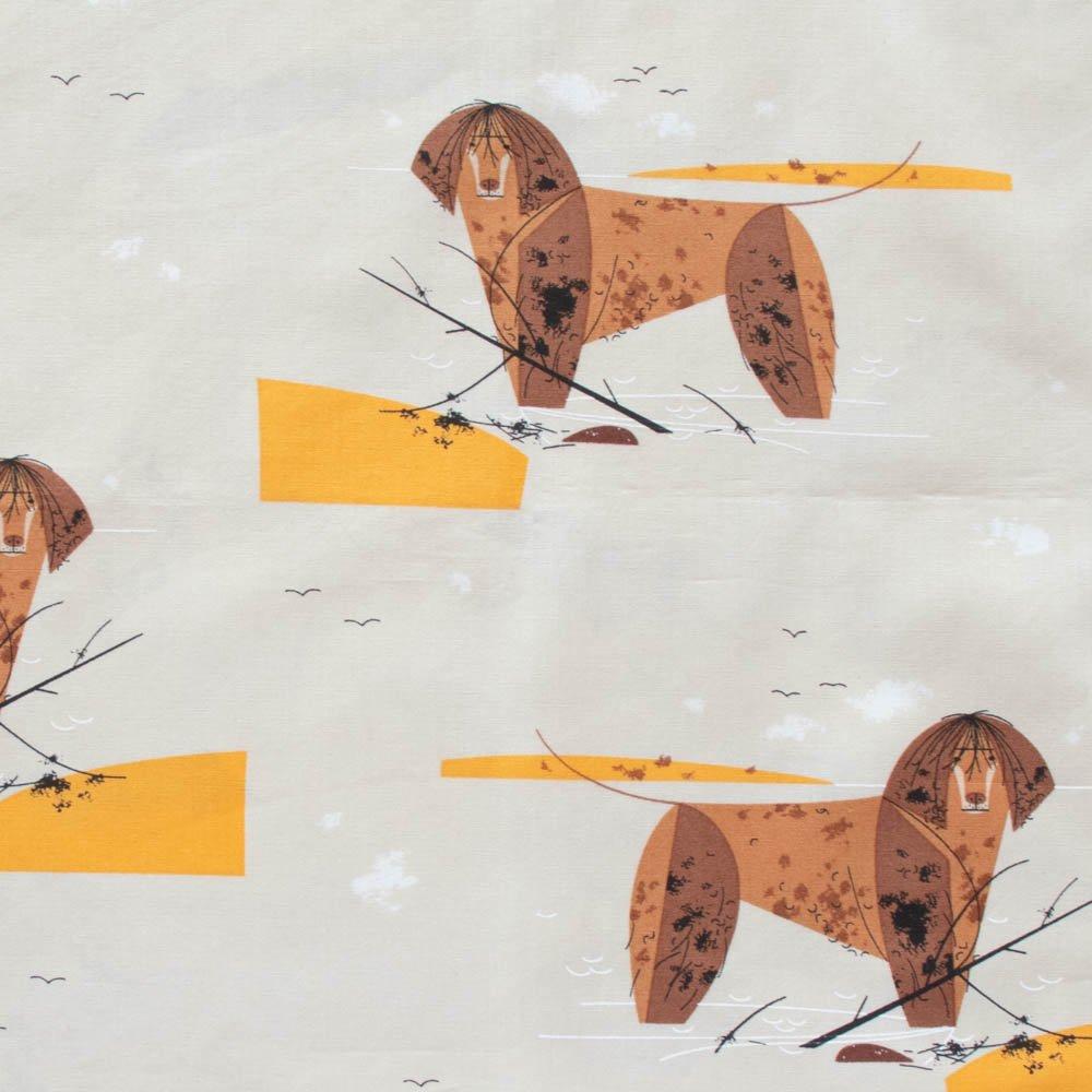 C. Harper- Water Dog