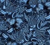Ohio Symbols - Multi Blue Rainbow - AOHSH 2026