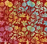 Ohio Wildflowers - Multi Red - AOHSH 2026