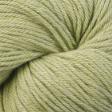Pima 100 - 8415 Chive