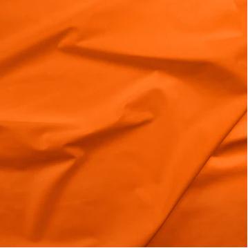Painter's Palette - Pumpkin