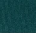 79PES/21EL RePET Wicking Peached Interlock - Evergreen