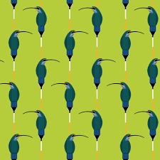 C. Harper- Hummingbird Vines