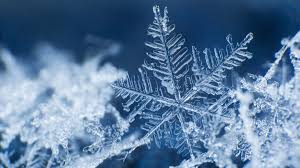 Snowflakes REAL.jfif